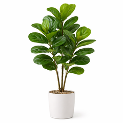 Collection image for: Kunstplanten (Vloer formaat)