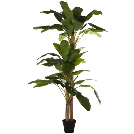 UNICORN Planta troncos 240CM+180CM+150CM
