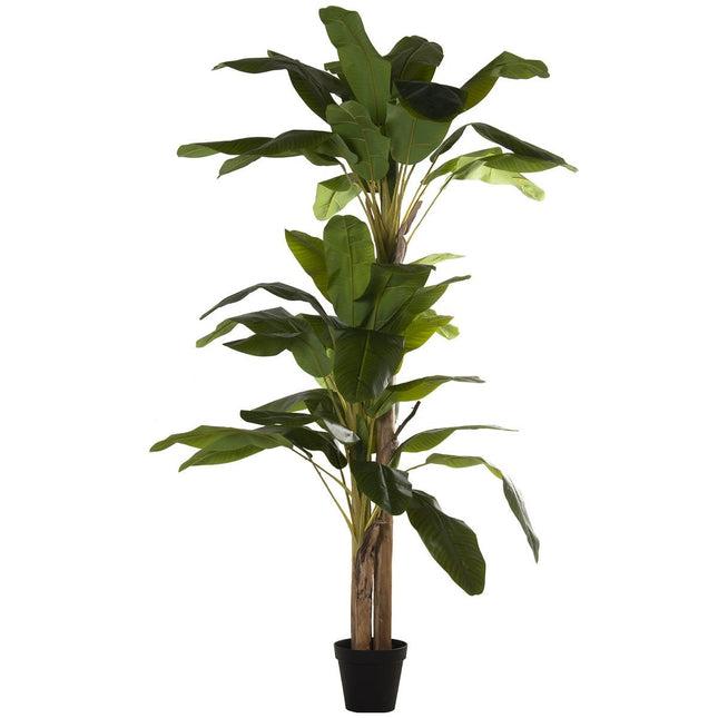 UNICORN Planta artificial platanera troncos 240CM+180CM+150CM
