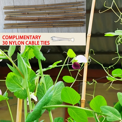 UNICORN Heavy Duty Natural Bamboo Plant Stakes Extra Long 50cm Garden Supports