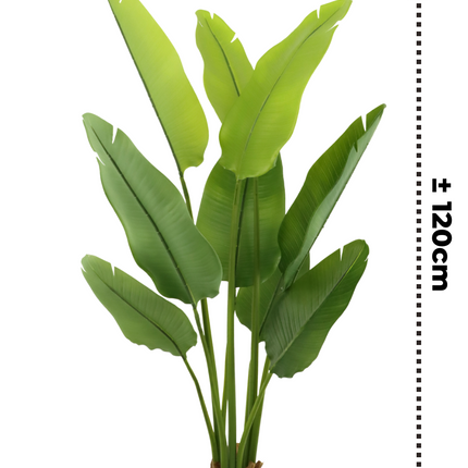 Strelitzia Kunstplant 120cm