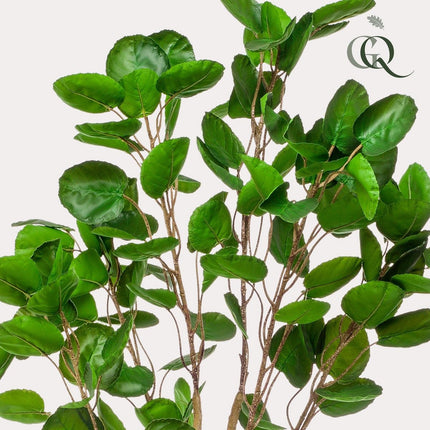 UNICORN Artificial plant - Polyscias - Aralia - 150 cm