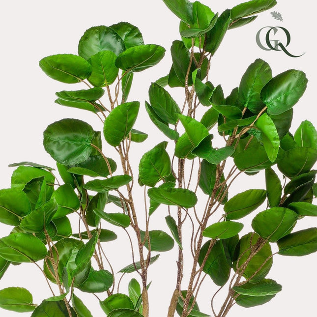 UNICORN Artificial plant - Polyscias - Aralia - 150 cm