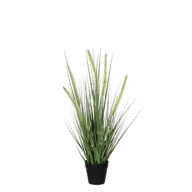 UNICORN Dogtail Grass Artificial Plant - H53 x Ø30 cm - Green