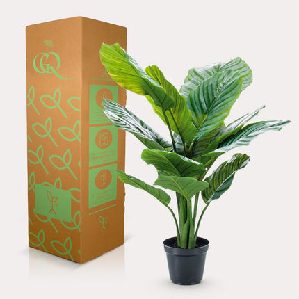 UNICORN Artificial Plant - Calathea Orbifolia - Shade Plant - 60 cm