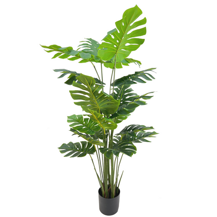 UNICORN Monstera Artificial Plant 165cm