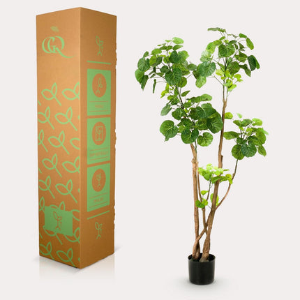 UNICORN Kunstplant - Polyscias - Aralia - 140 cm