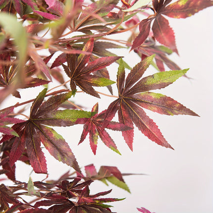 UNICORN 120Cm/160Cm Artificial Japanese Maple Tree in Deep Purple