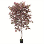 160cm/5FT DarkPurple Maple