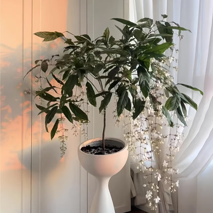 UNICORN Resin Vase with Drainage Hole 45.72cm Tal Indoor & Outdoor White Black