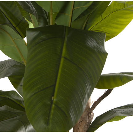 UNICORN Planta troncos 240CM+180CM+150CM