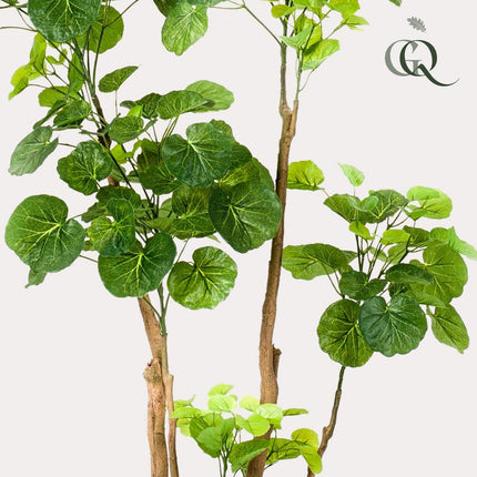 UNICORN Kunstplant - Polyscias - Aralia - 140 cm