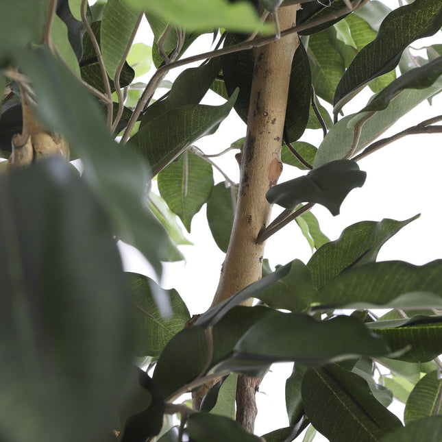 UNICORN Ficus Artificial Plant - H110 x Ø65 cm - Green