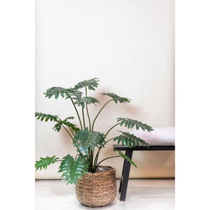 UNICORN Artificial plant - Philodendron - 105 cm