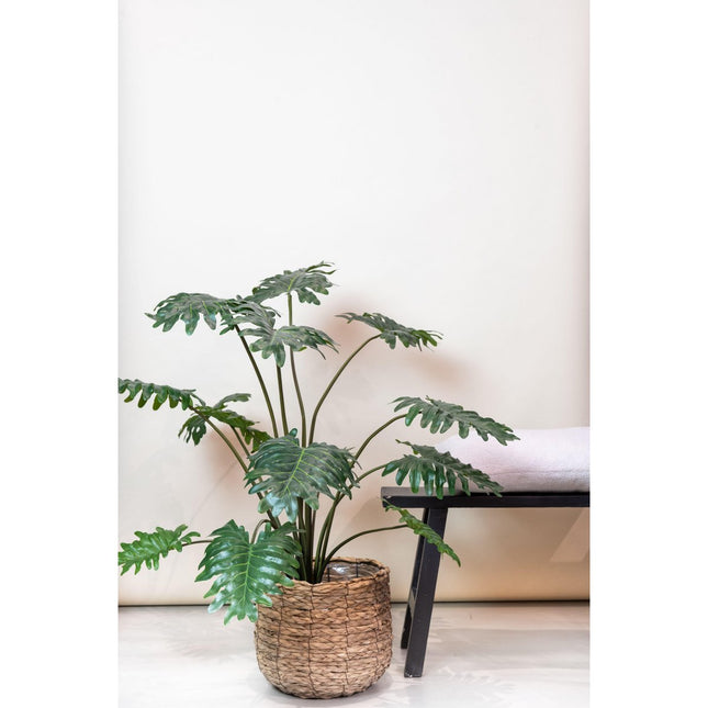 UNICORN Artificial plant - Philodendron - 105 cm