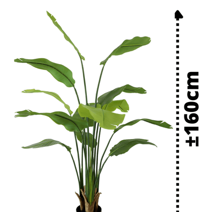 Strelitzia Kunstplant 160cm