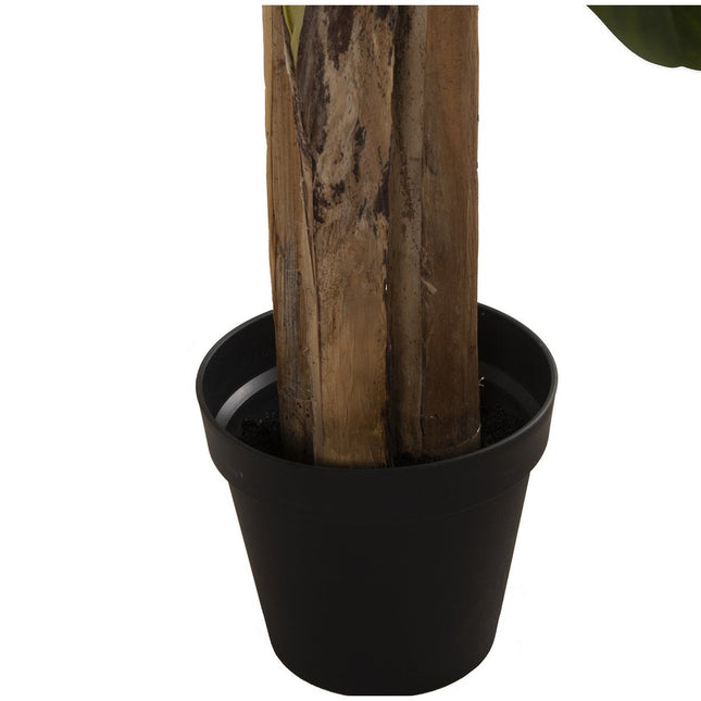 UNICORN Planta troncos 240CM+180CM+150CM