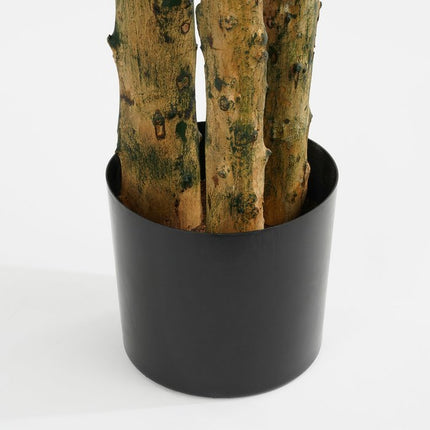 UNICORN Pachira Artificial Plant - H175 x Ø85 cm - Green