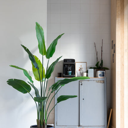 Strelitzia Kunstplant 160cm