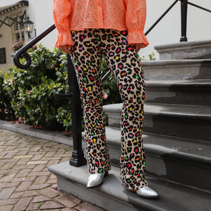Soft flared legging Leo color