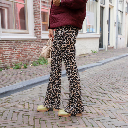 Noisy May Pasa flared pants black Leo