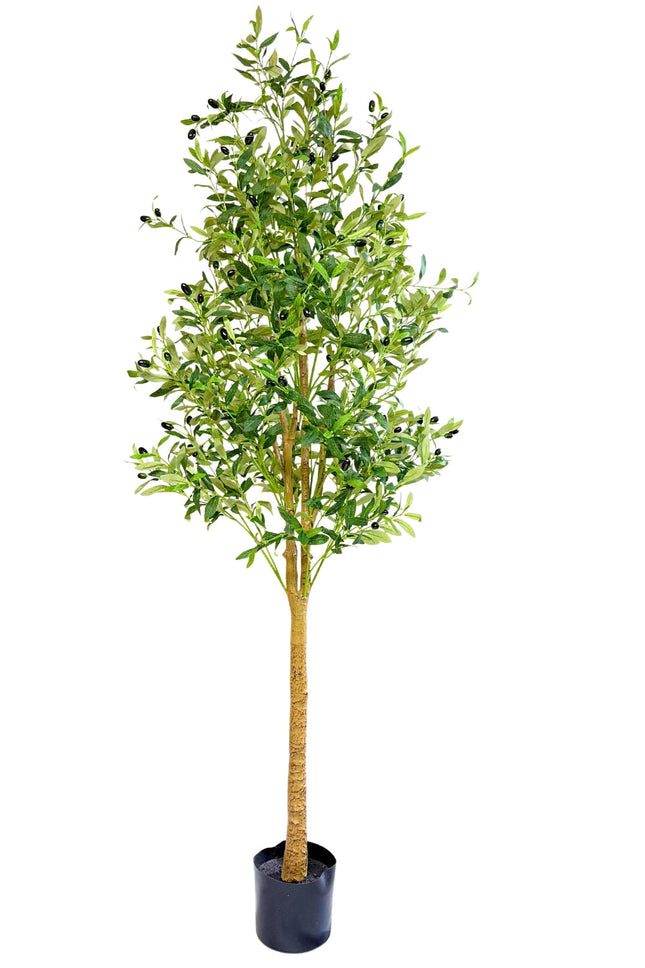 Kunst Olijfboom 180cm