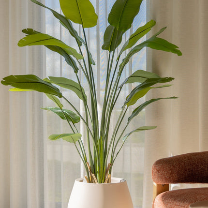 Strelitzia Kunstplant 180cm