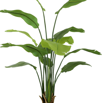 Strelitzia Kunstplant 160cm