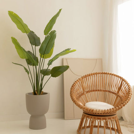 Strelitzia Kunstplant 160cm