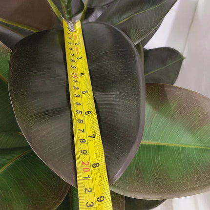 UNICORN 13-59 in Large Ficus Tree Artificial Rubber Tree Plastic