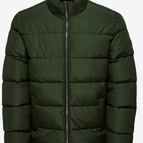 Dark Green / XS