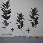 47inBand59inBand70in / Without pot