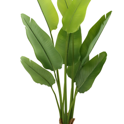 Strelitzia Kunstplant 120cm