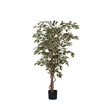 UNICORN Ficus Artificial Plant - H150 x Ø75 cm - Green Variegated
