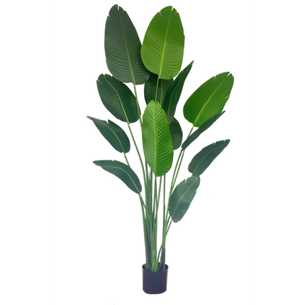 UNICORN Strelitzia Artificial Plant 180cm