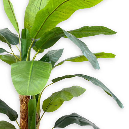 Kunst Bananenplant 180cm