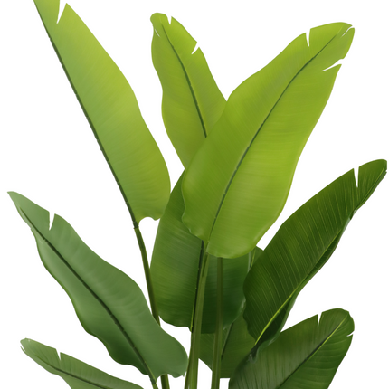 Strelitzia Kunstplant 120cm