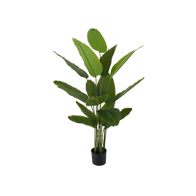 UNICORN Artificial plant Canna 86x150cm