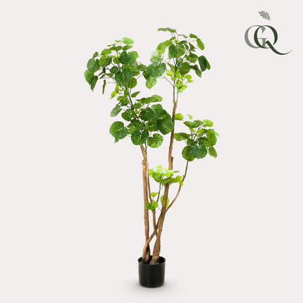 UNICORN Kunstplant - Polyscias - Aralia - 140 cm