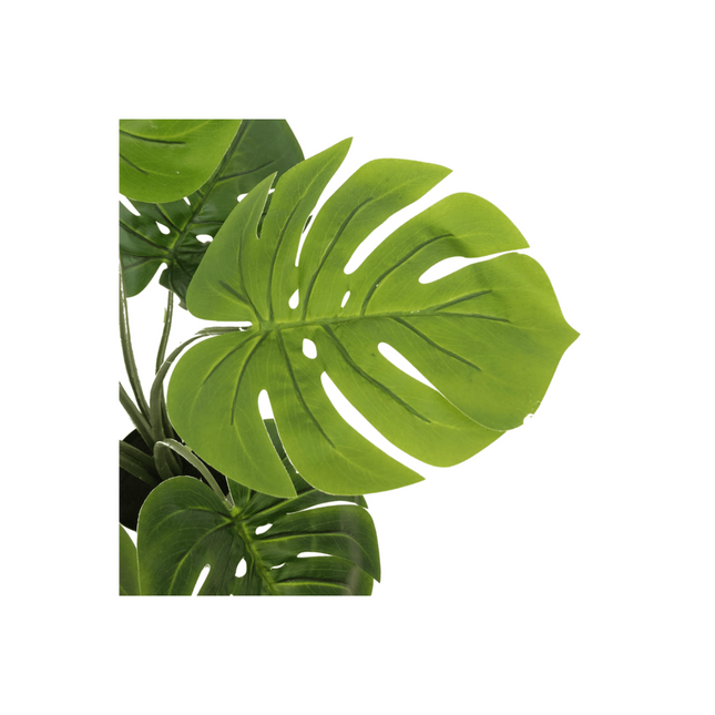 UNICORN Monstera Artificial Plant 60cm