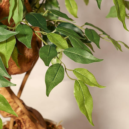 UNICORN Artificial Ficus Tree, Curved Tree Trunk, 180cm Large Artificial Plant with White Pot